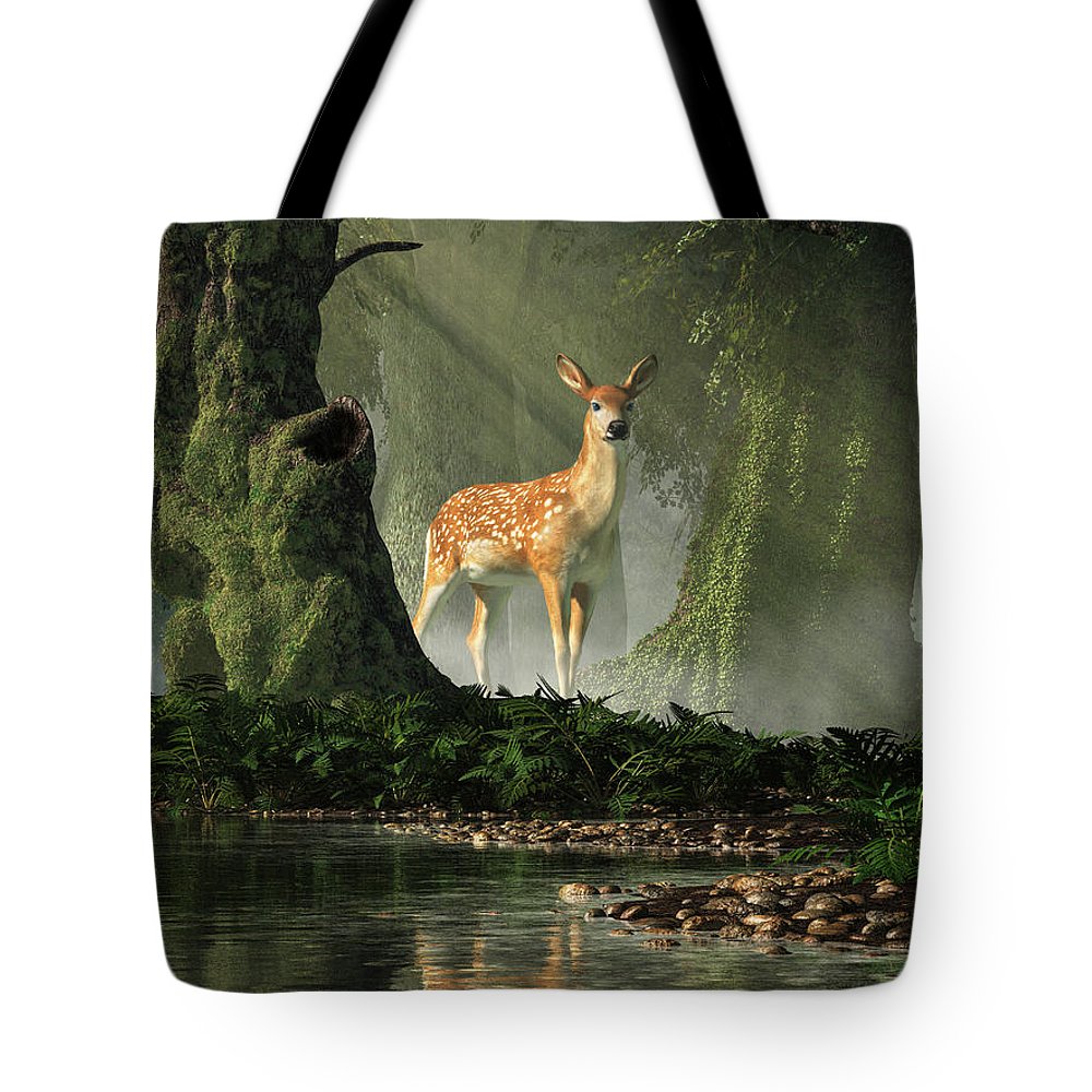 Fawn In The Forest