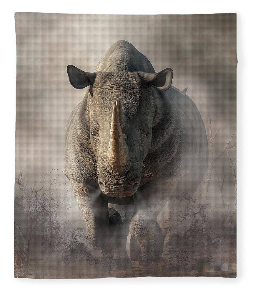Charging Rhino