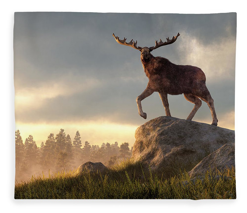 Moose At Dawn