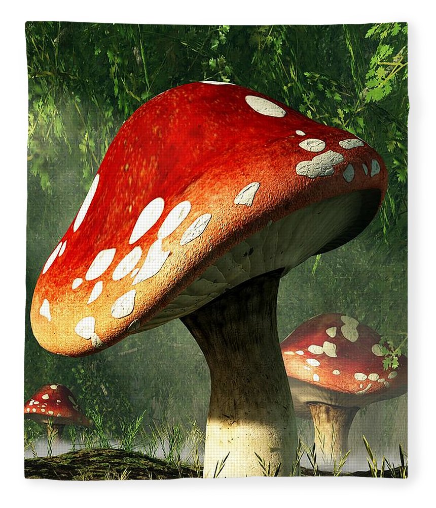 Mystic Mushroom