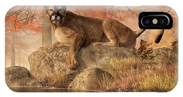 The Old Mountain Lion
