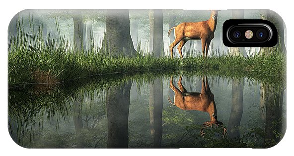 White Tailed Deer Reflected
