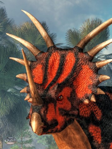 Styracosaurus Head